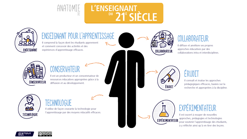 l'anatomie des éducateurs du 21ème siècle