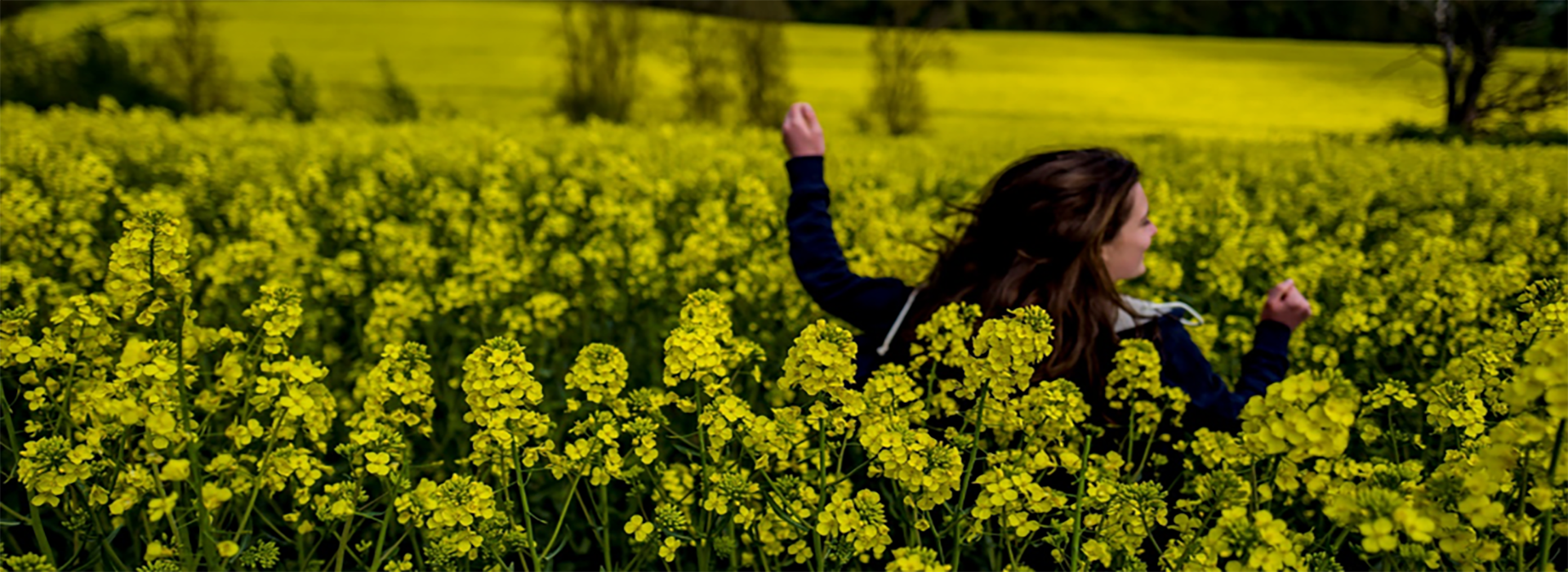 femme qui traverse un champ de fleurs